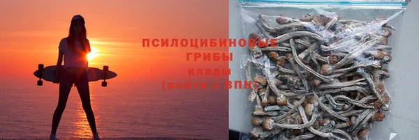 сатива Балабаново