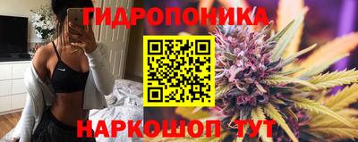 крисы Балаково